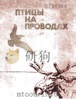 Птицы на проводах（1982 PDF版）