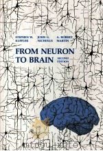 From neuron to brain:a cellular and molecular approach to the function of the nervous system (Secon 1984 PDF电子版封面 0878934448