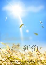 藏英辞典(藏文) PDF电子版封面