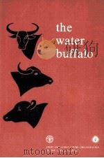 THE WATER BUFFALO 1977 PDF电子版封面 9251001081