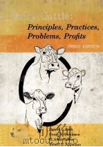 DAIRY CATTLE PFINCIPLES PRACTICES PROBLEMS PROFITS THERD IDITION PDF电子版封面