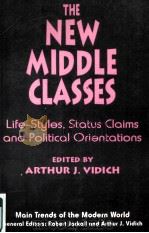 THE NEW MIDDLE CLASSES     PDF电子版封面  9780814787779   