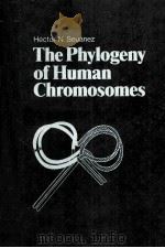 THE PHYLOGENY OF HUMAN CHROMOSOMES     PDF电子版封面     