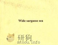 WIDE SARGASSO SEA PENGUIN BOOKS 1966 PDF电子版封面