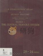 A Stereoscopic Atlas of Human Anatomy Section I The Central Nervous System Reels 29-34 1952 PDF电子版封面