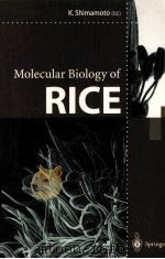 MOLECULAR BIOLOGY OF RICE PDF电子版封面 7731702156 K.SHIMAMOTO