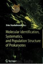 MOLECULAR IDENTIFICATION SYSTEMATICS AND POPULATION STRUCTURE OF PROKARYOTES PDF电子版封面 3540231552