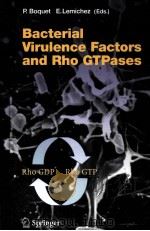 BACTERIAL VIRULENCE FACTORS AND RHO GTPASES PDF电子版封面 3540238654
