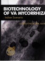BIOTECHNOLOGY OF VA MYCORRHIZA:INDIAN SCENARIO PDF电子版封面 8189422227