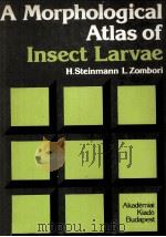 A MORPHOLOGICAL ATLAS OF INSECT LARVAE PDF电子版封面 9630534177