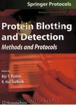 PROTEIN BIOTTING AND DETECTIO PDF电子版封面 1934115732