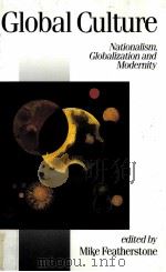 GLOBAL CULTURE 1990 PDF电子版封面 9780803983229