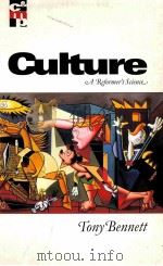 CULTURE A REFORMER'S SCIENCE 1998 PDF电子版封面 9780761959236