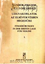 SANDOR FRIGYES KIGYOSI ARPAD UJJGYAKORLATOK AZ ELSO FEKVESBEN HEGEDURE FINGERUBUNGEN IN DER ERSTEN L PDF电子版封面