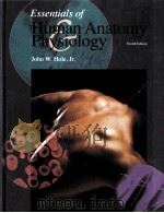 ESSENTIALS OF HUMAN ANATOMY PHYSIOLOGY FOUTH EDITION 1983 PDF电子版封面 9780697266620