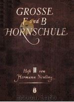 GROSSE F-UND B-HORNSCHULE PDF电子版封面