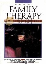 FAMILY THERAPY CONCEPTS AND METHODS SECOND EDITION 1984 PDF电子版封面 0205128874