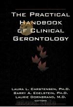 THE PRACTICAL HANDBOOK OF CLINICAL GERONTOLOGY 1996 PDF电子版封面 0803952376