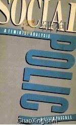 SOCIAL POLICY A FEMINIST ANALYSIS 1986 PDF电子版封面 0422786705