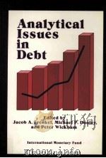 ANALYTICAL ISSUES IN DEBT 1989 PDF电子版封面 1557750416