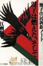 逗子は燃えた、そして 1990.12 PDF电子版封面 江刺昭子