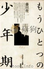 もうひとつの少年期 1979.07 PDF电子版封面 藤田俊二