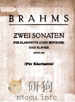 ZWEI SONATEN FUR KLARINETTE UND KLAVIER OPUS 120 PDF电子版封面