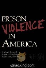 PRION VIOLENCE IN AMERICA 1985 PDF电子版封面 0870840924