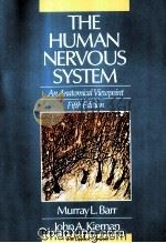 THE HUMAN NERVOUS SYSTEM AN ANATOMICAL VIEWPOINT FIFTH EDITION 1988 PDF电子版封面 0397508832