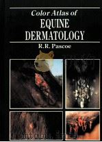COLOR ATLAS OF EQUINE DERMATOLOGY   1990  PDF电子版封面  0801638011   
