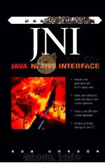 ESSENTIAL JNI JAVA NATIVE INTERFACE 1998 PDF电子版封面