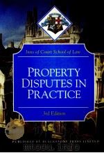 PROPERTY DISPUTERS IN PRACTICE 1998 PDF电子版封面 1841740063