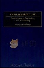 CAPITAL STUCTURE DETERMINATION EVALUATIIN AND ACCOUNTING   1999  PDF电子版封面  1567202349   