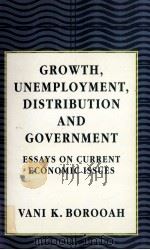 GROWTH UNEMPLOYMENT DISTRIBUTION AND GOVERNMENT:ESSAYS ON CURRENT ECONOMIC ISSUES 1996 PDF电子版封面 0333617304 VANI K.BOROOSH