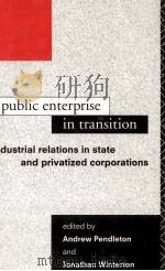 PUBLIC ENTERPRISE IN TRANSITION   1993  PDF电子版封面  0415075726   