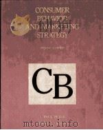 CONSUMER BEHAVIOR AND MARKETING STRATEGY 1990 PDF电子版封面 0256079617