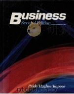 BUSINESS SECOND EDITION   1988  PDF电子版封面  0395356741   