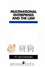 MULTINATIONAL ENTERPRISES AND THE LAW 1994 PDF电子版封面 0631173110