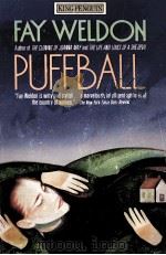 PUFFBALL 1980 PDF电子版封面 0140131183
