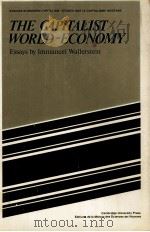 THE CAPITALIST WORLD-ECONOMY（1980 PDF版）