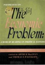 PERSPECTIVES ON THE ECONOMIC PROBLEM A BOOK OF READINGS IN POLITICAL ECONOMY 1970 PDF电子版封面