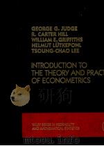 INTRODUCTION TO THE THEORY AND PRACTICE OF ECONOMETRICS 1982 PDF电子版封面 0471082775