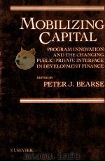 MOBILIZING CAPITAL 1982 PDF电子版封面 0444006907 PETER J.BEARSE