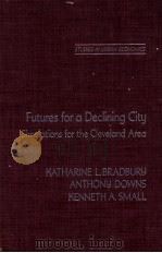 FUTURES FOR A DECLINING CITY SIMULATIONS FOR THE CLEVELAND AREA 1981 PDF电子版封面 0121235807 KENNETH A.SMALL