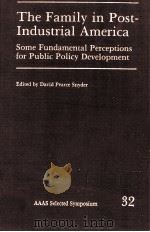 THE FAMILY IN POST-INDUSTRIAL AMERICA SOME FUNDAMENTAL PERCAEPTIONS FOR PUBLIC POLICY DEVELOPMENT 1979 PDF电子版封面 089158482X