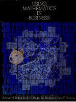 USING MATHEMATICS IN BUSINESS 1981 PDF电子版封面 0201000989 LYLE V.BRENNA