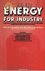 ENERGY FOR INDUSTRY（1978 PDF版）