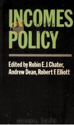 INCOMES POLICY 1981 PDF电子版封面 0198771460