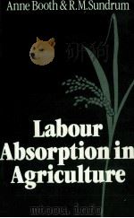 LABOUR ABSORPTION IN AGRICULTURE 1985 PDF电子版封面 0198772041 ANNE BOOTH