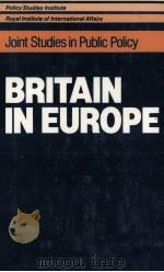 BRITAIN IN EUROPE 1980 PDF电子版封面 0435839195